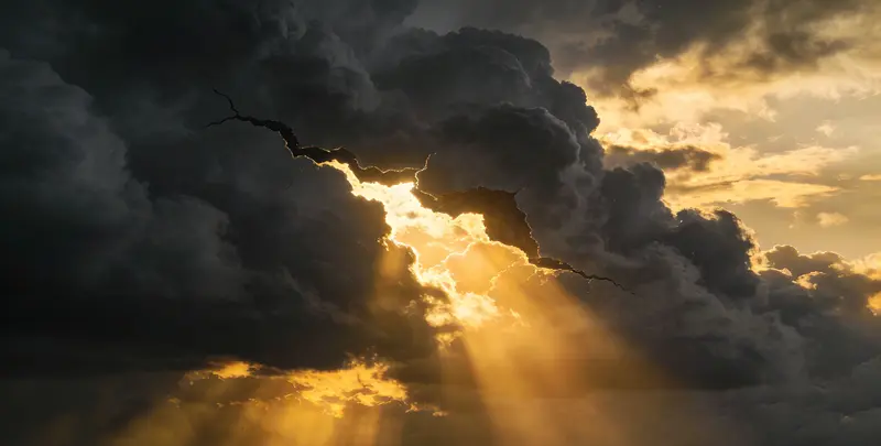 上饶肺癌靶向120基因检测（组织）图片1