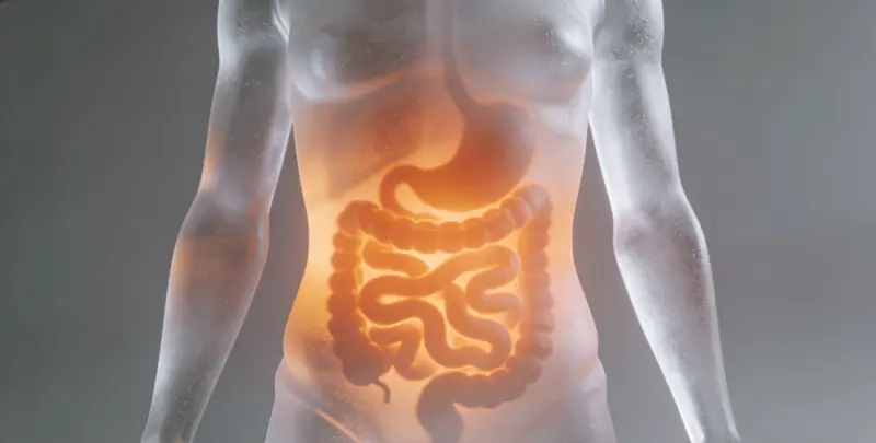 上饶胃癌分子分型基因检测项目（组织）图片1